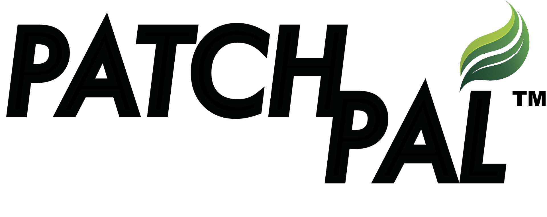 PatchPal infrastructure and pothole repair venture logo